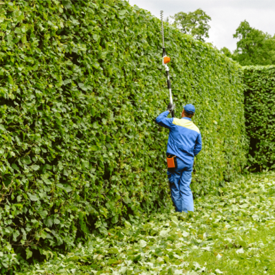 قص الاشجار بجدة ومكة